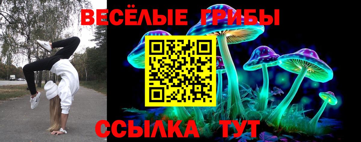 цены   Галлюциногенные грибы Psilocybine cubensis  Дмитров  Вход с VPN  Галлюциногенные грибы ЛСД 